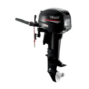 T9.9 2-Stroke Outboard Motor Series